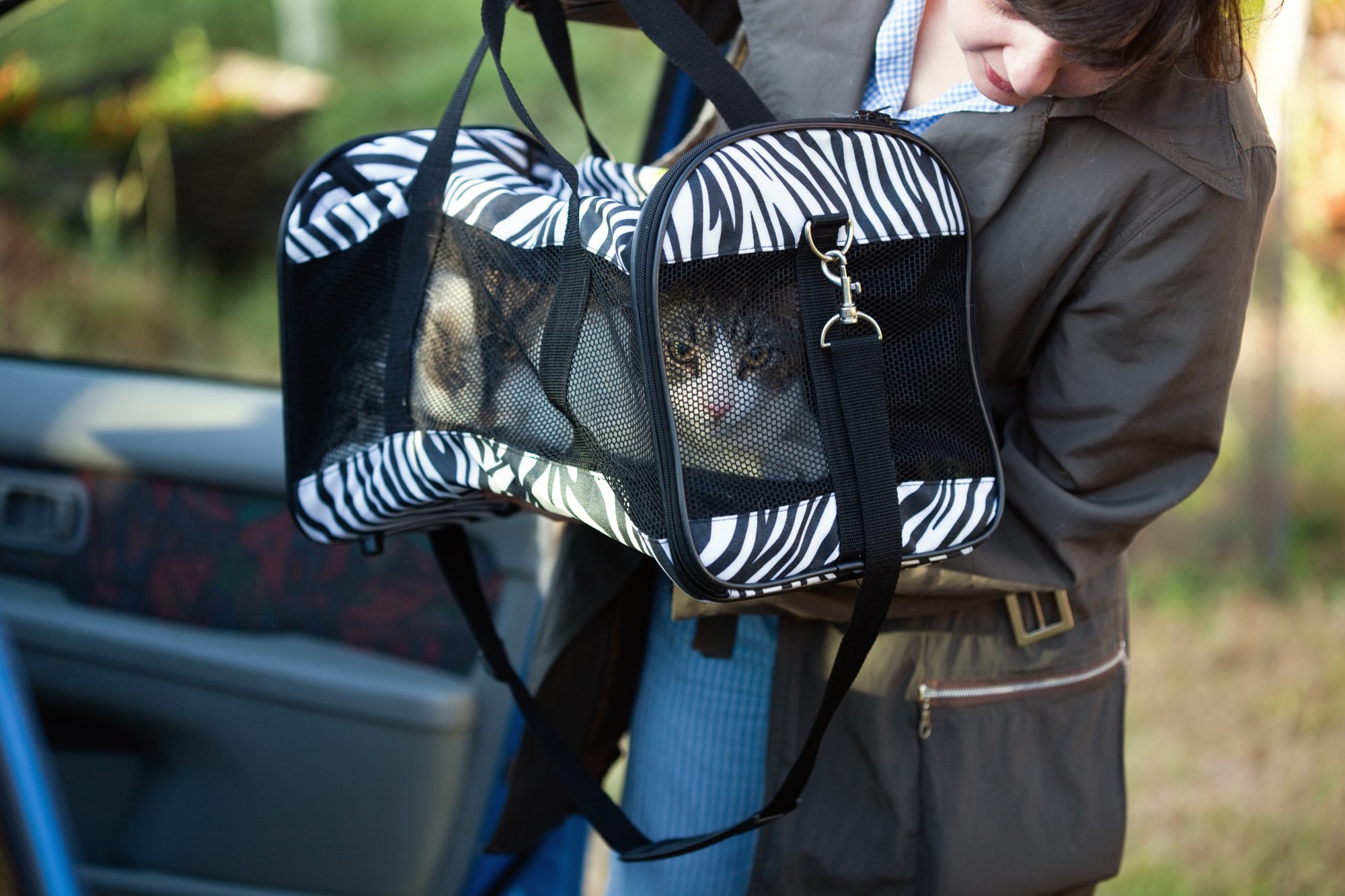Packing cat for evacuation.