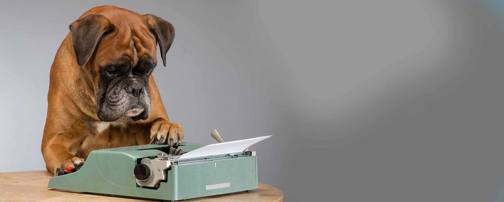 Dog with Typing Machine