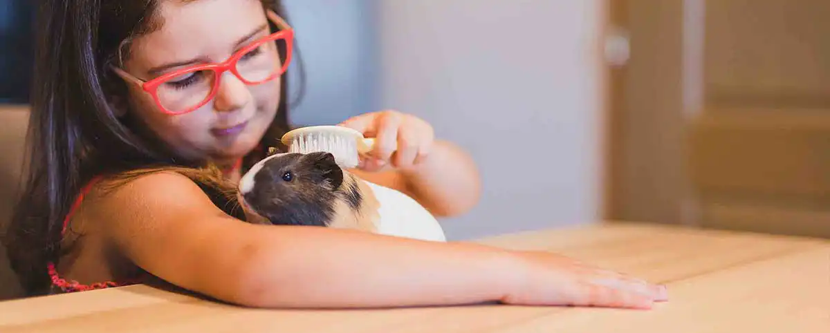 A girl with her guinea pig